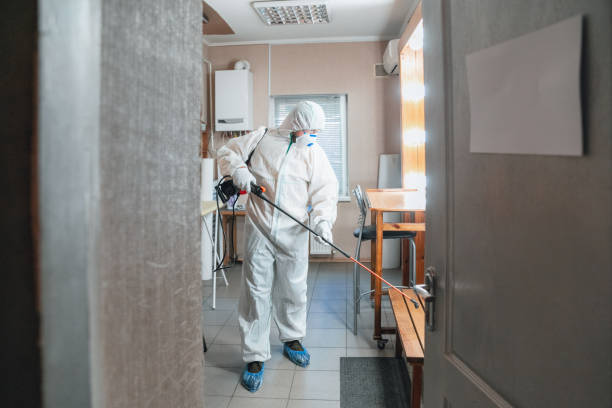 Best Crawl Space Mold Remediation  in Montgomery, PA