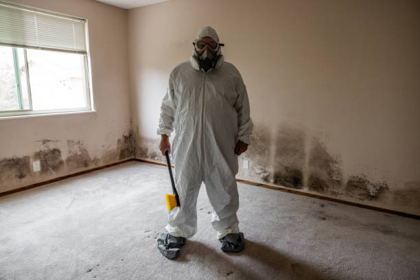 Mold Odor Removal Services in Montgomery, PA